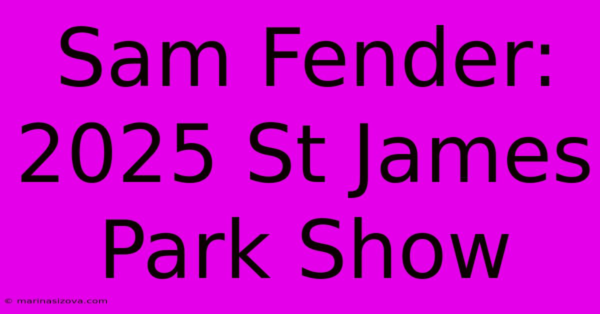 Sam Fender: 2025 St James Park Show