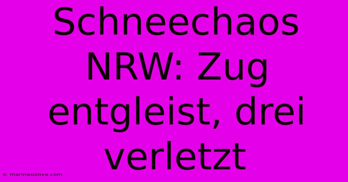 Schneechaos NRW: Zug Entgleist, Drei Verletzt