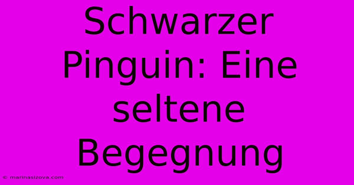 Schwarzer Pinguin: Eine Seltene Begegnung