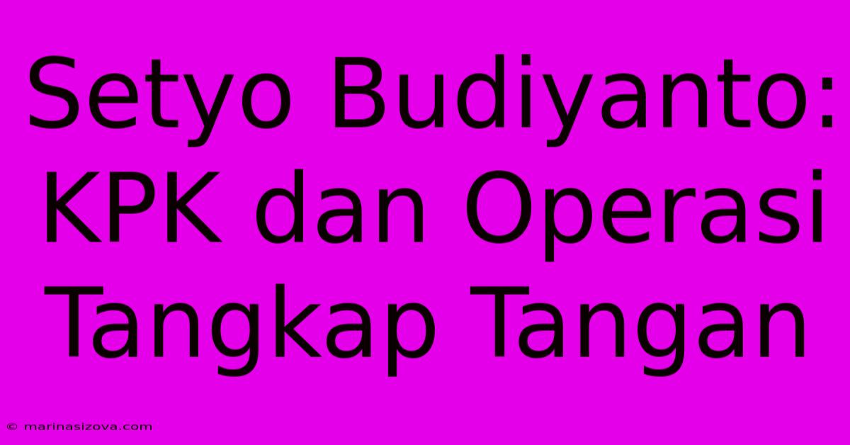 Setyo Budiyanto: KPK Dan Operasi Tangkap Tangan