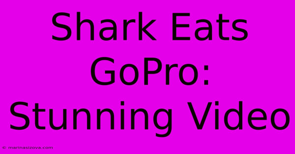 Shark Eats GoPro: Stunning Video