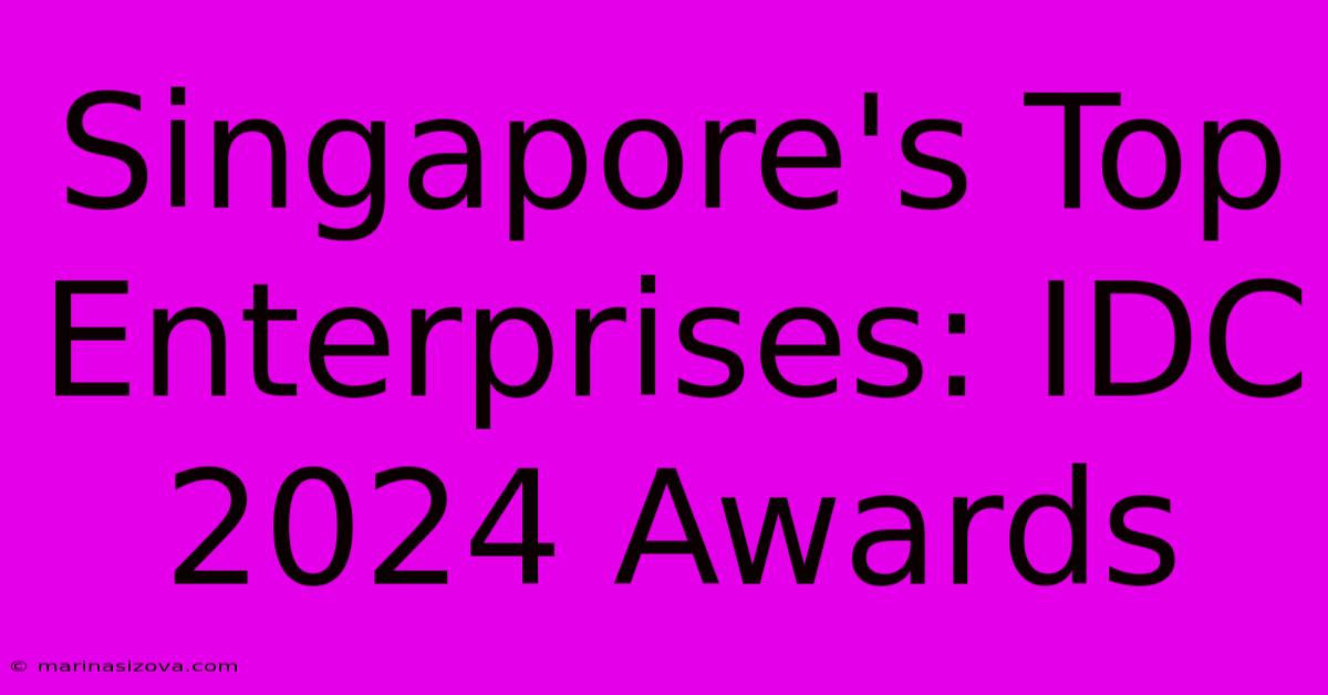 Singapore's Top Enterprises: IDC 2024 Awards