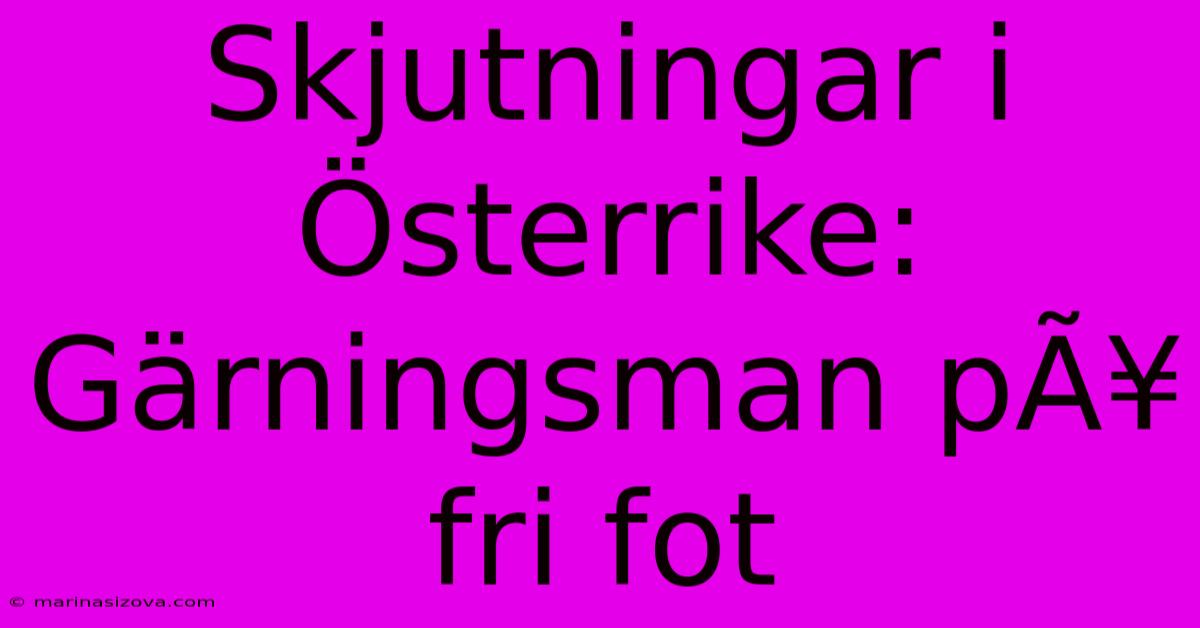 Skjutningar I Österrike: Gärningsman PÃ¥ Fri Fot