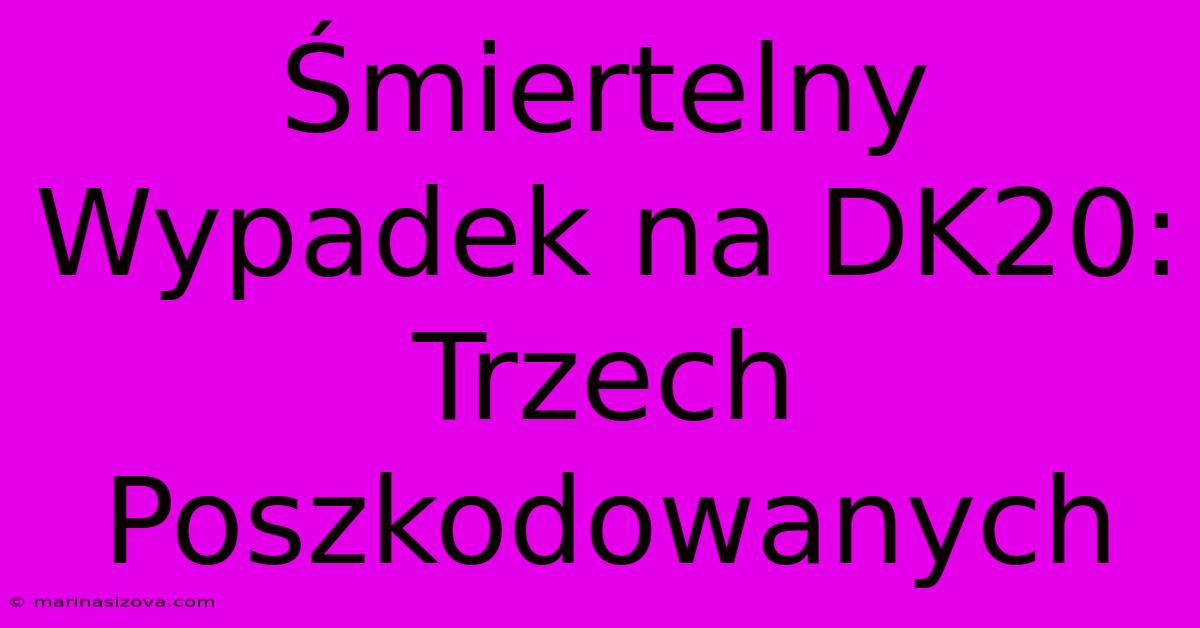 Śmiertelny Wypadek Na DK20: Trzech Poszkodowanych