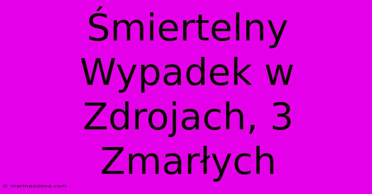 Śmiertelny Wypadek W Zdrojach, 3 Zmarłych