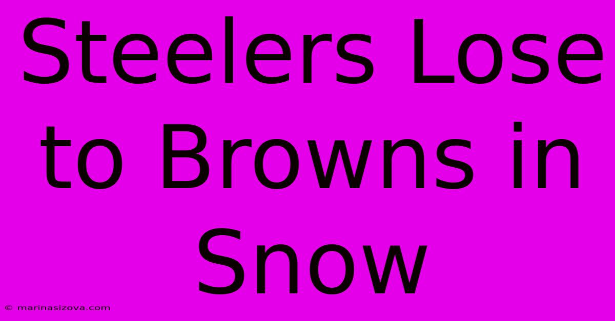 Steelers Lose To Browns In Snow