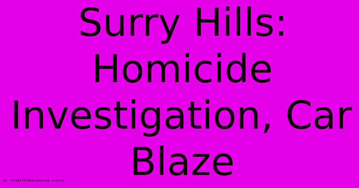 Surry Hills: Homicide Investigation, Car Blaze