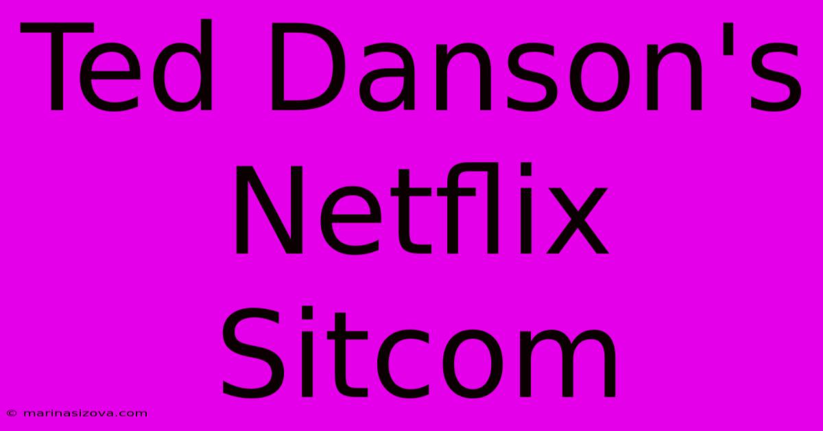 Ted Danson's Netflix Sitcom