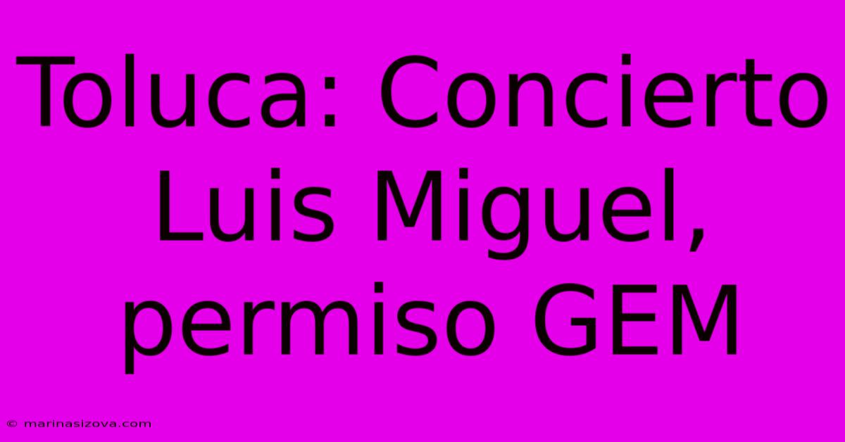 Toluca: Concierto Luis Miguel, Permiso GEM