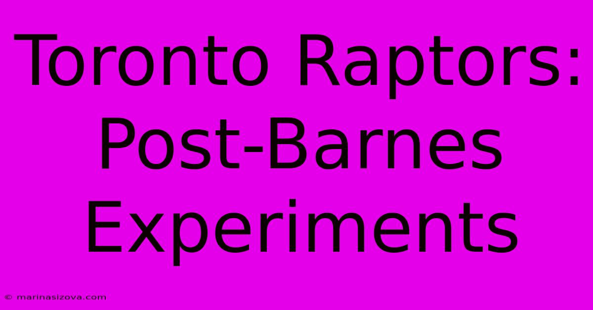 Toronto Raptors: Post-Barnes Experiments