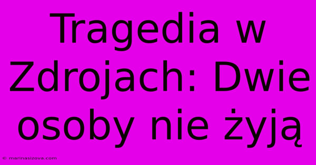 Tragedia W Zdrojach: Dwie Osoby Nie Żyją