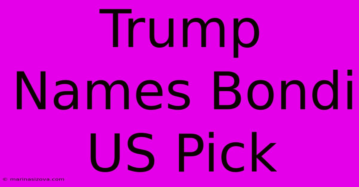 Trump Names Bondi US Pick