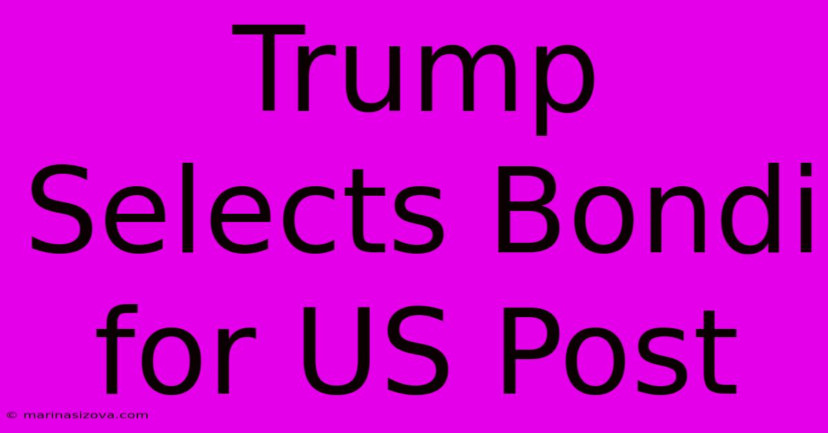 Trump Selects Bondi For US Post