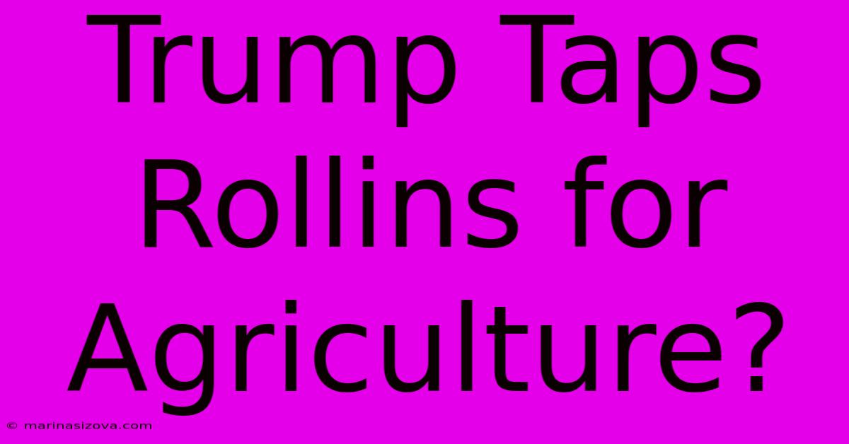 Trump Taps Rollins For Agriculture?