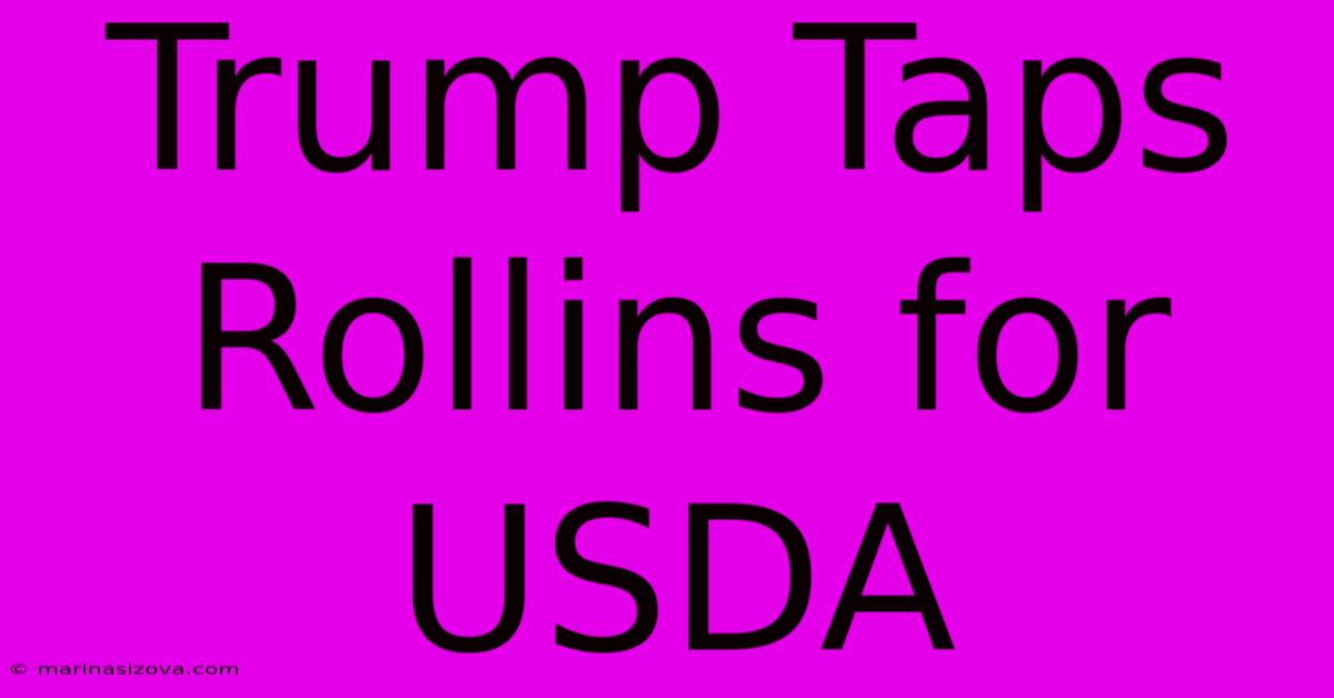 Trump Taps Rollins For USDA