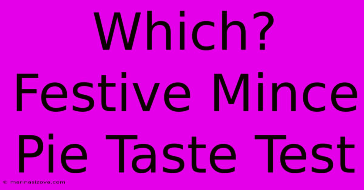 Which? Festive Mince Pie Taste Test