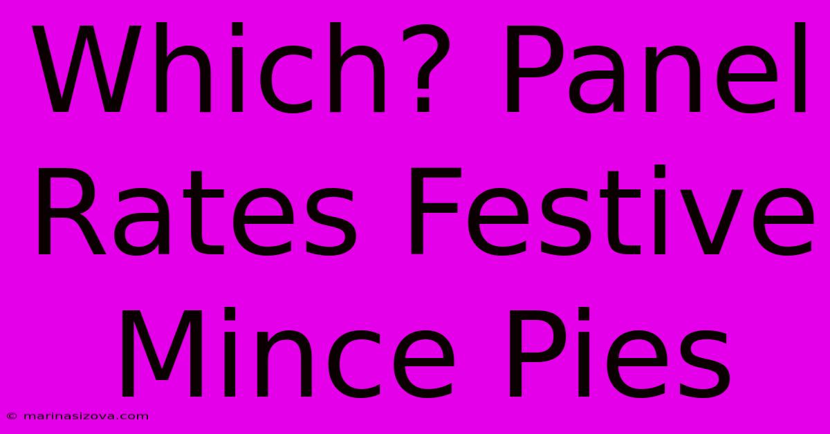 Which? Panel Rates Festive Mince Pies