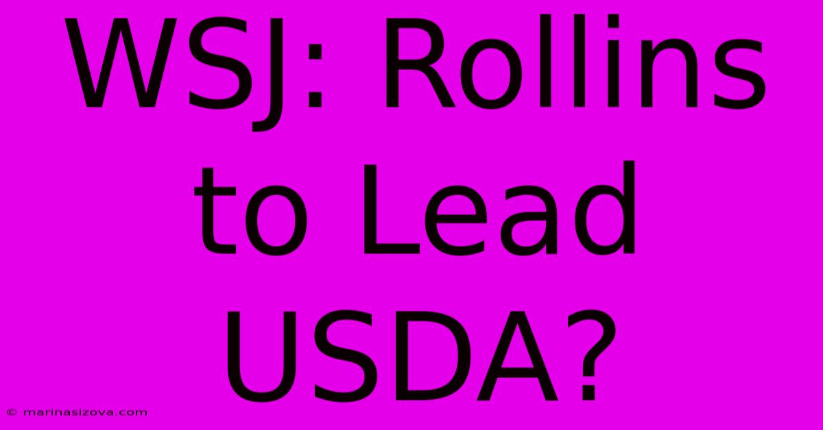 WSJ: Rollins To Lead USDA?