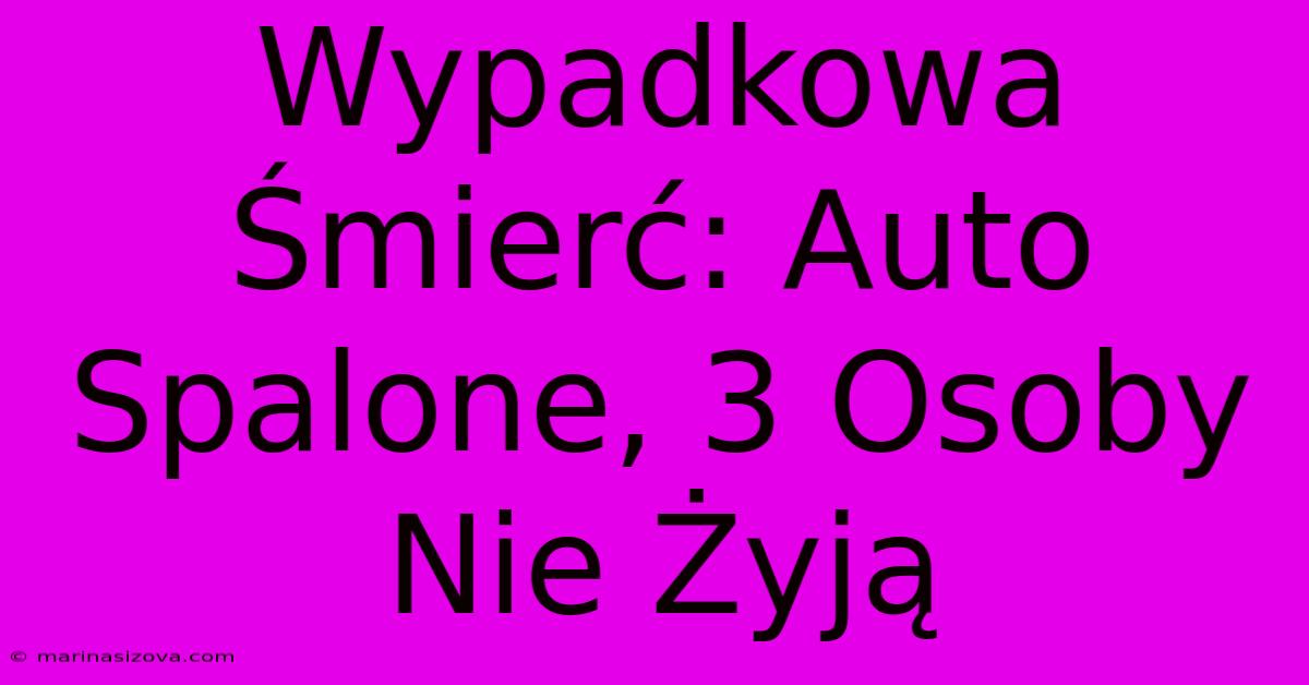 Wypadkowa Śmierć: Auto Spalone, 3 Osoby Nie Żyją